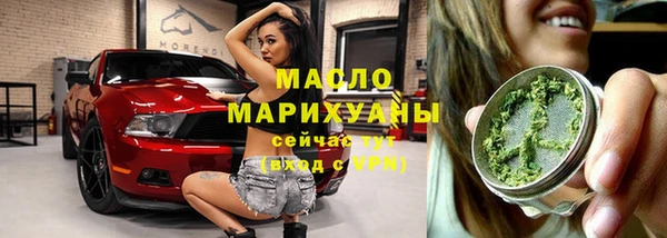 дживик Тобольск
