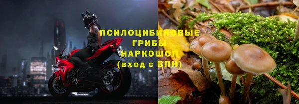 ECSTASY Баксан